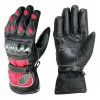 Motobike Gloves