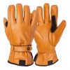 Motobike Gloves